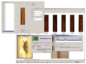 Automatische Photo-Identifikation von Amphibien.